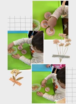 eco friendly mathematics 7